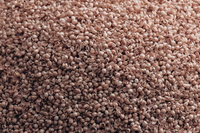 Detailaufname Bio Hirseschalen für Fau Wolles Kissen