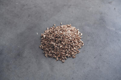 kleiner Haufen Bio Dinkelspelz für Kissenfüllungen